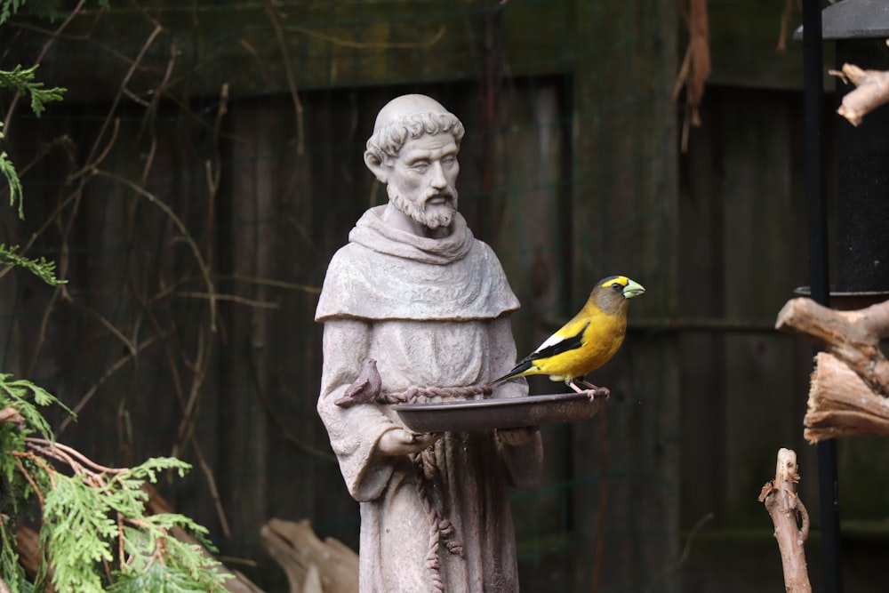 yellow bird on gray concrete statue