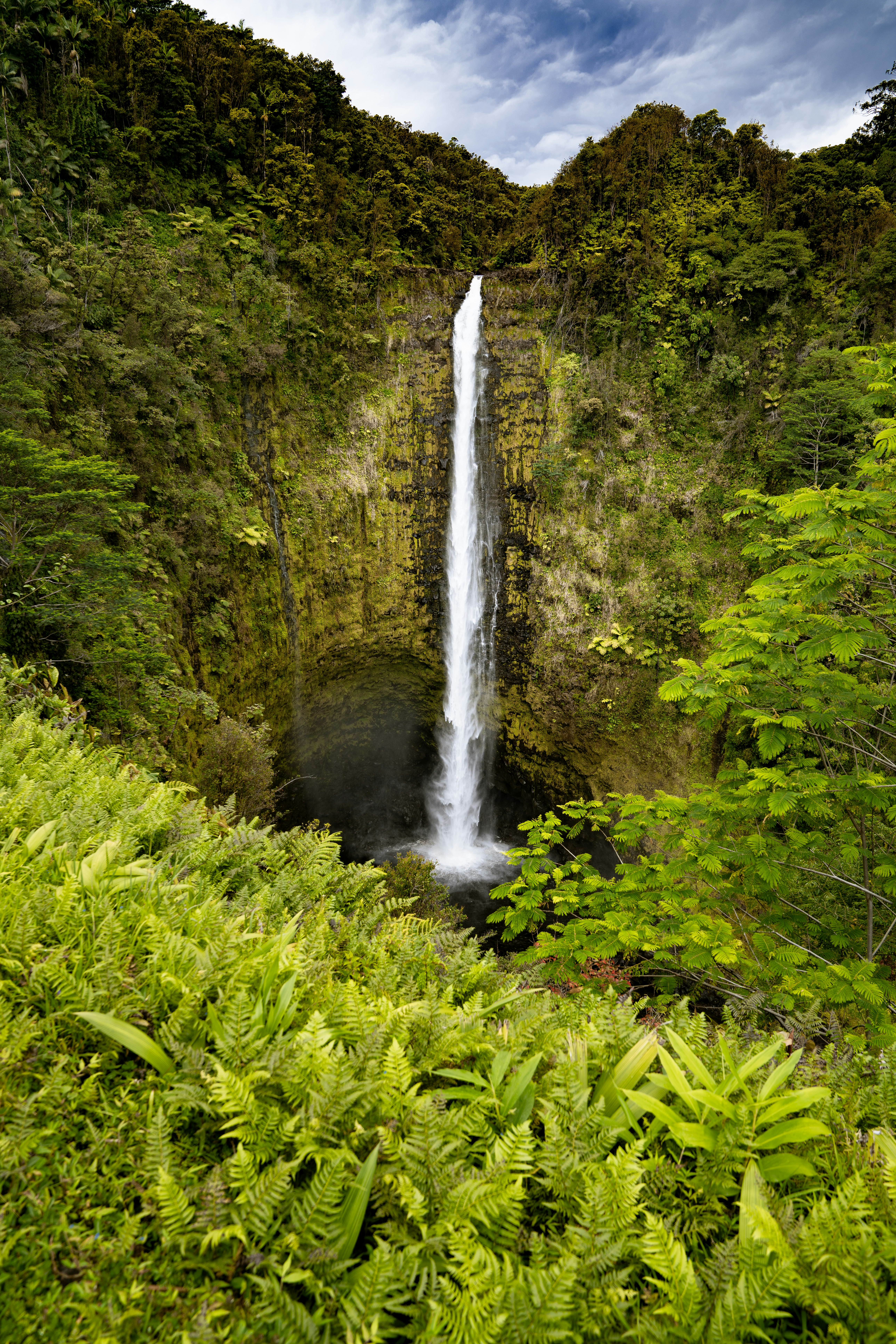 waterfalls in the middle of green grass field