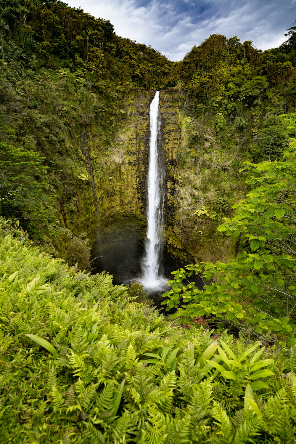 cascate nel mezzo del campo di erba verde