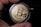 A close-up view of a hand holding a gold-colored coin with the Bitcoin logo prominently displayed in the center. The coin is encased in a protective transparent cover, and intricate circuit-like patterns are etched around the logo, symbolizing digital technology.
