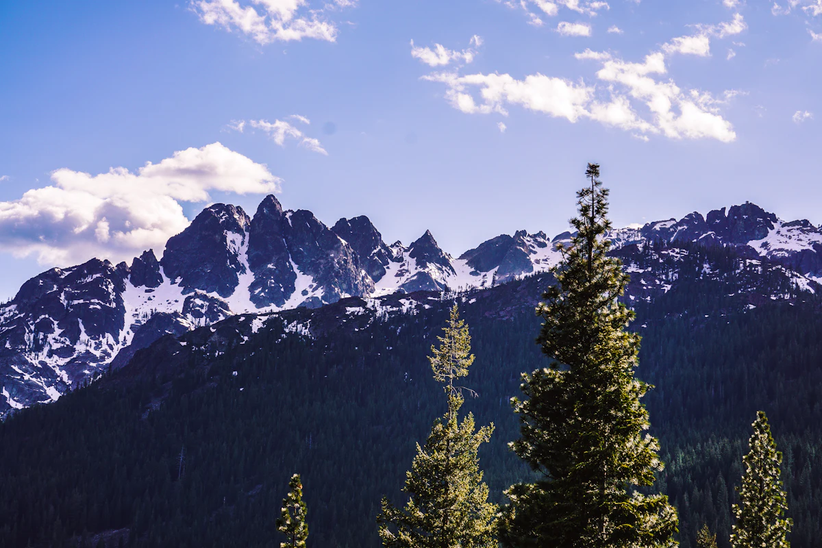 The snow-streaked Sierra Buttes above a fir forest