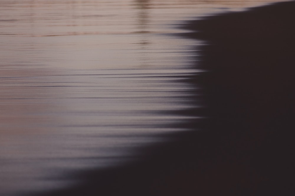 body of water during daytime