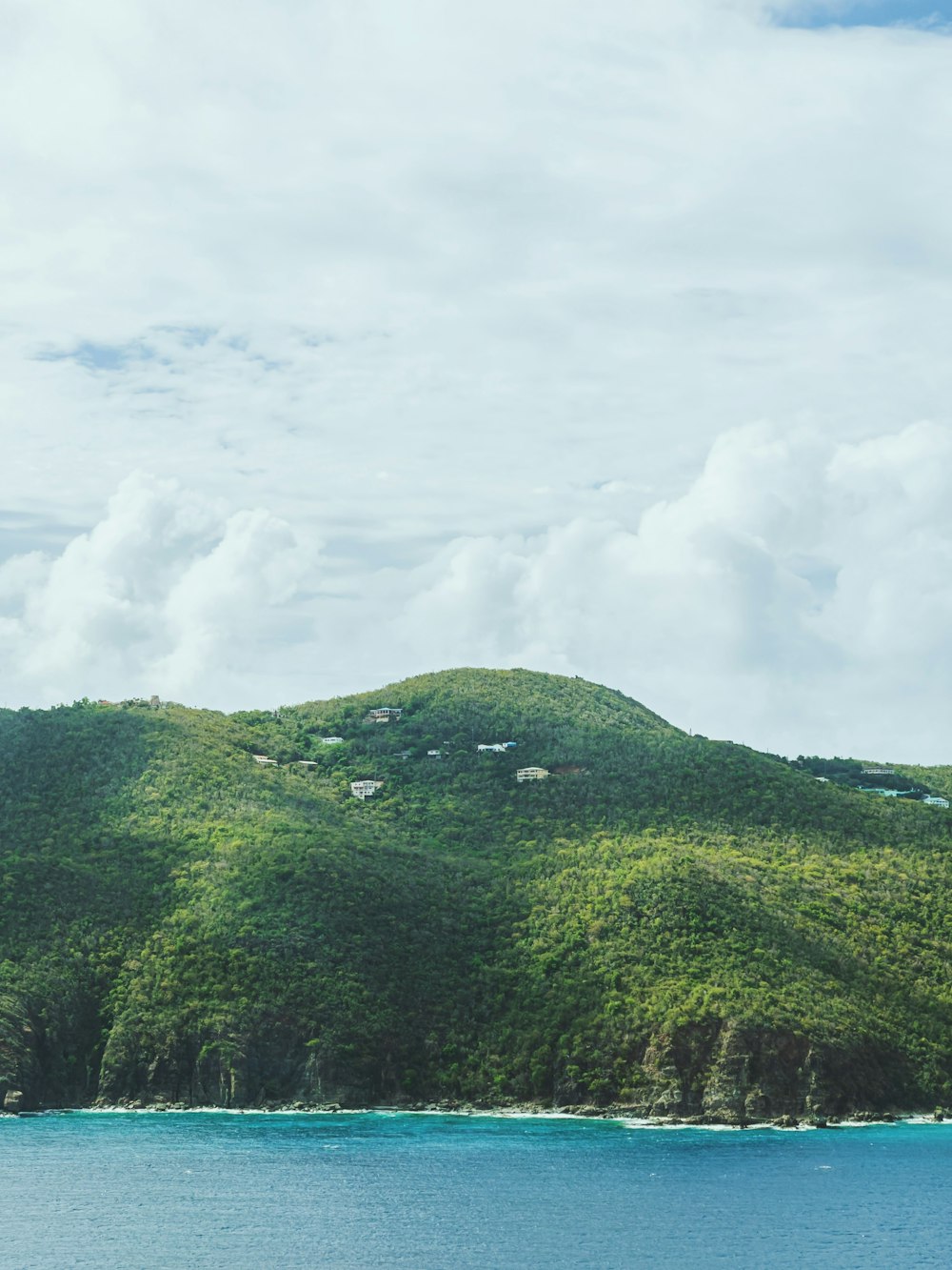 green trees on mountain under white clouds during daytime