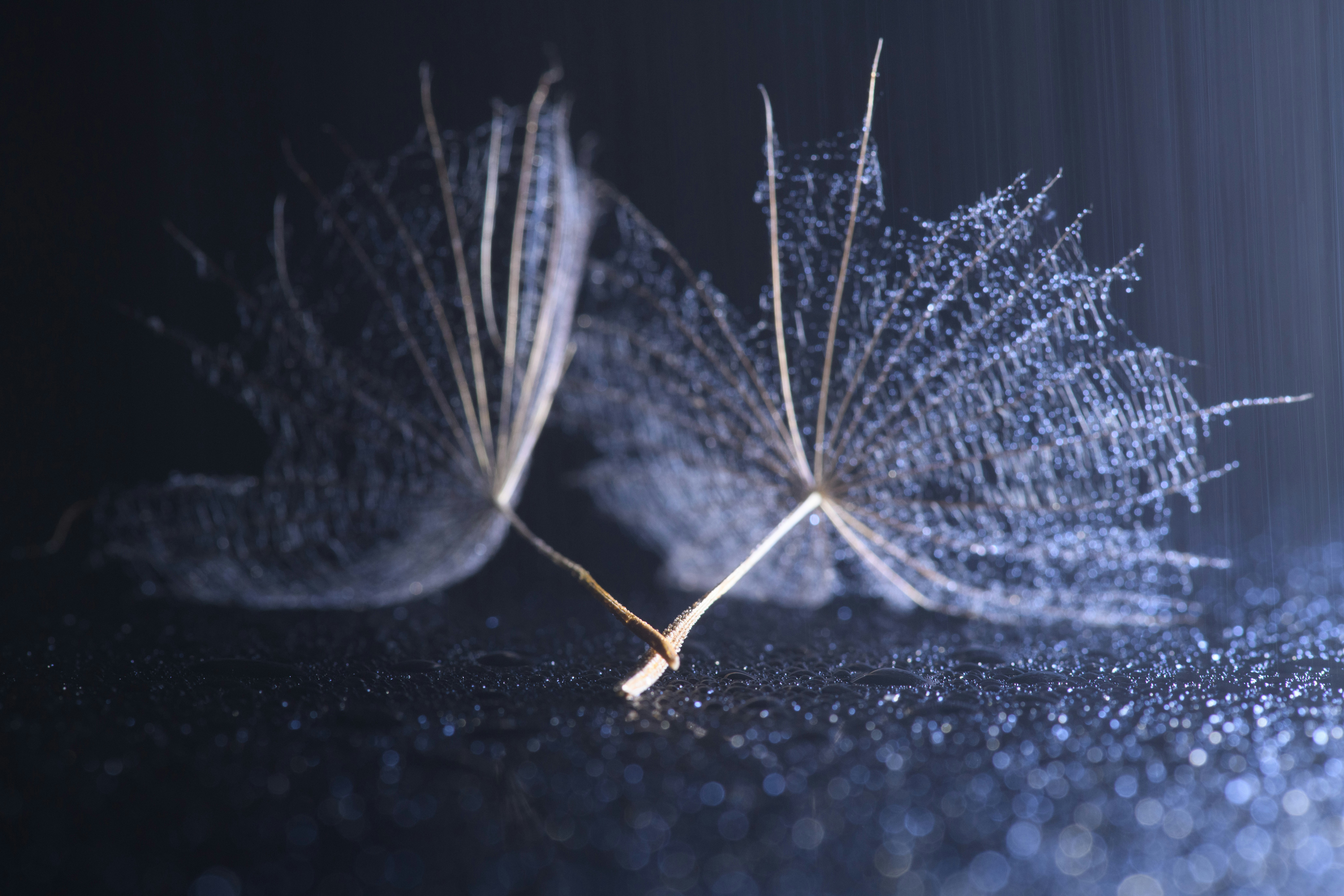 Picking the ideal Printer Paper Can Mean the Difference Between poor and High Quality Prints