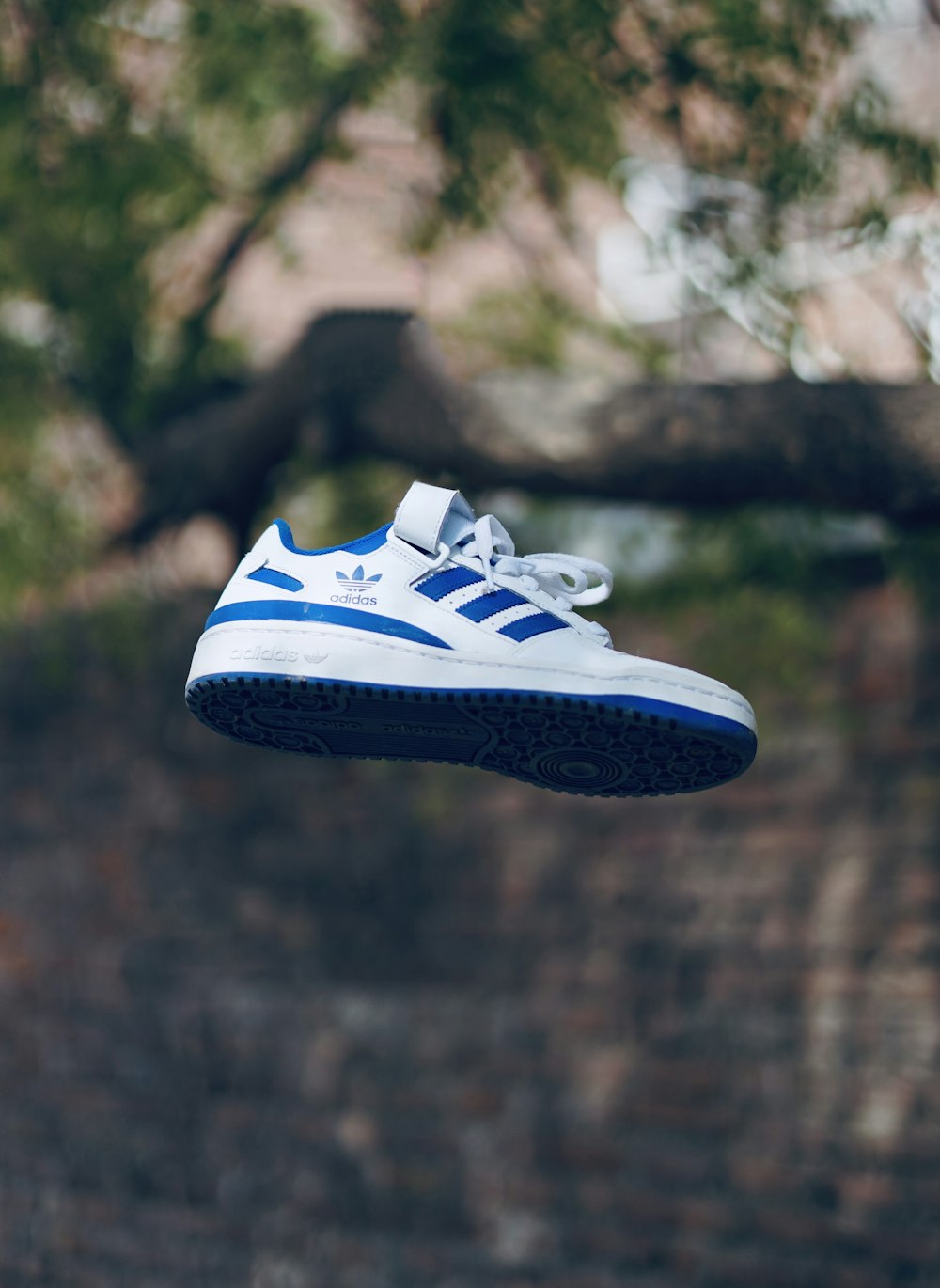 blue and white adidas sneakers