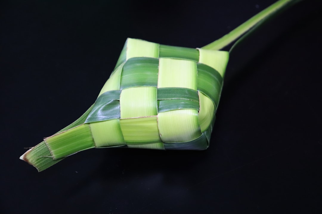 green and white paper bag, ketupat yang di hidangkan muslim indonesia di hari raya idul fitri