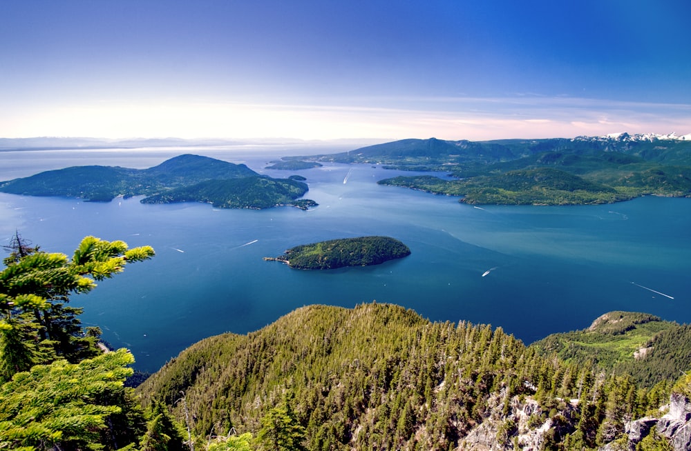 green trees on island during daytime