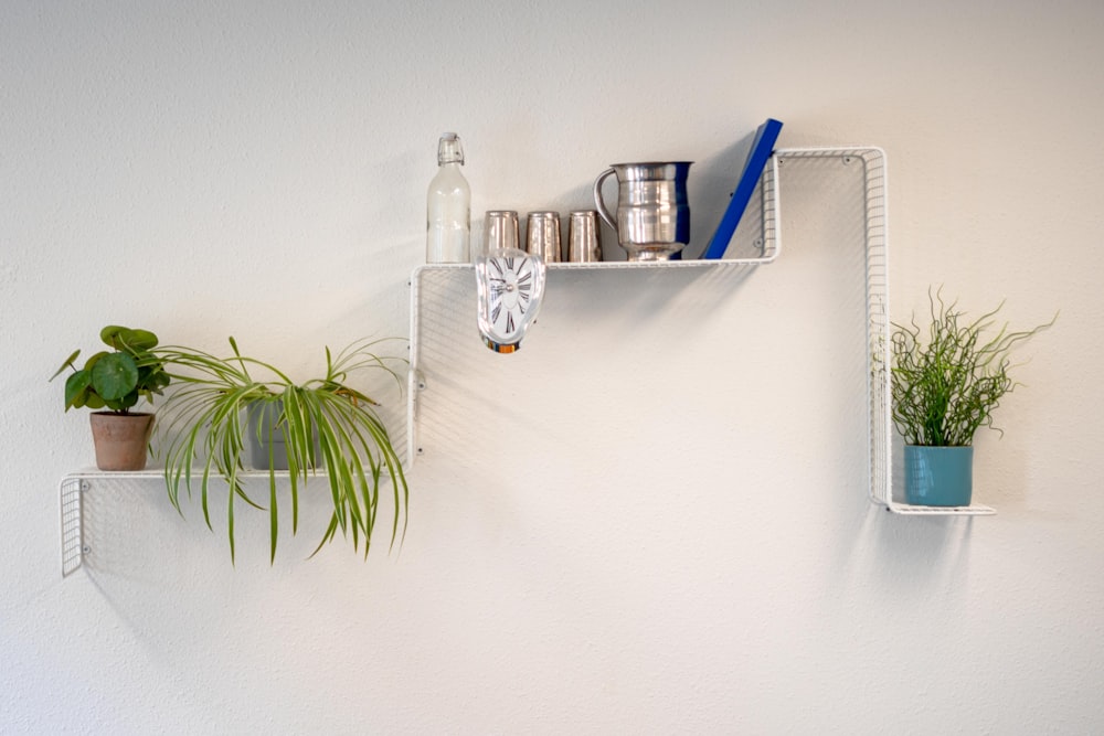 green potted plant on white wall shelf