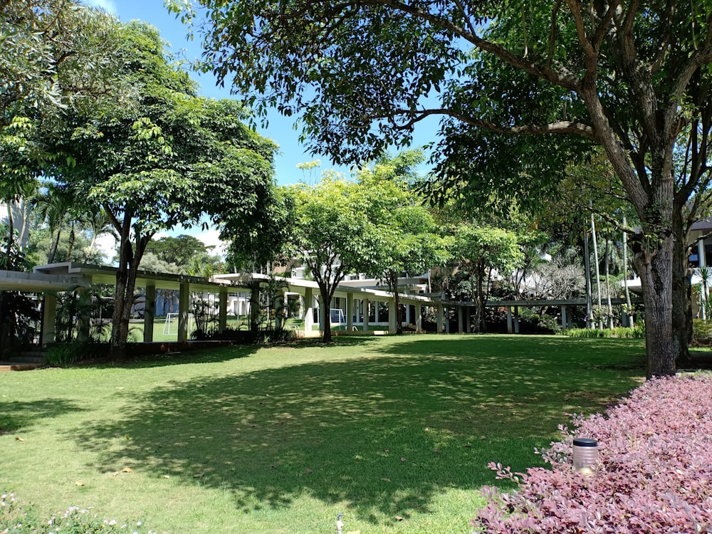 green grass field with trees and houses