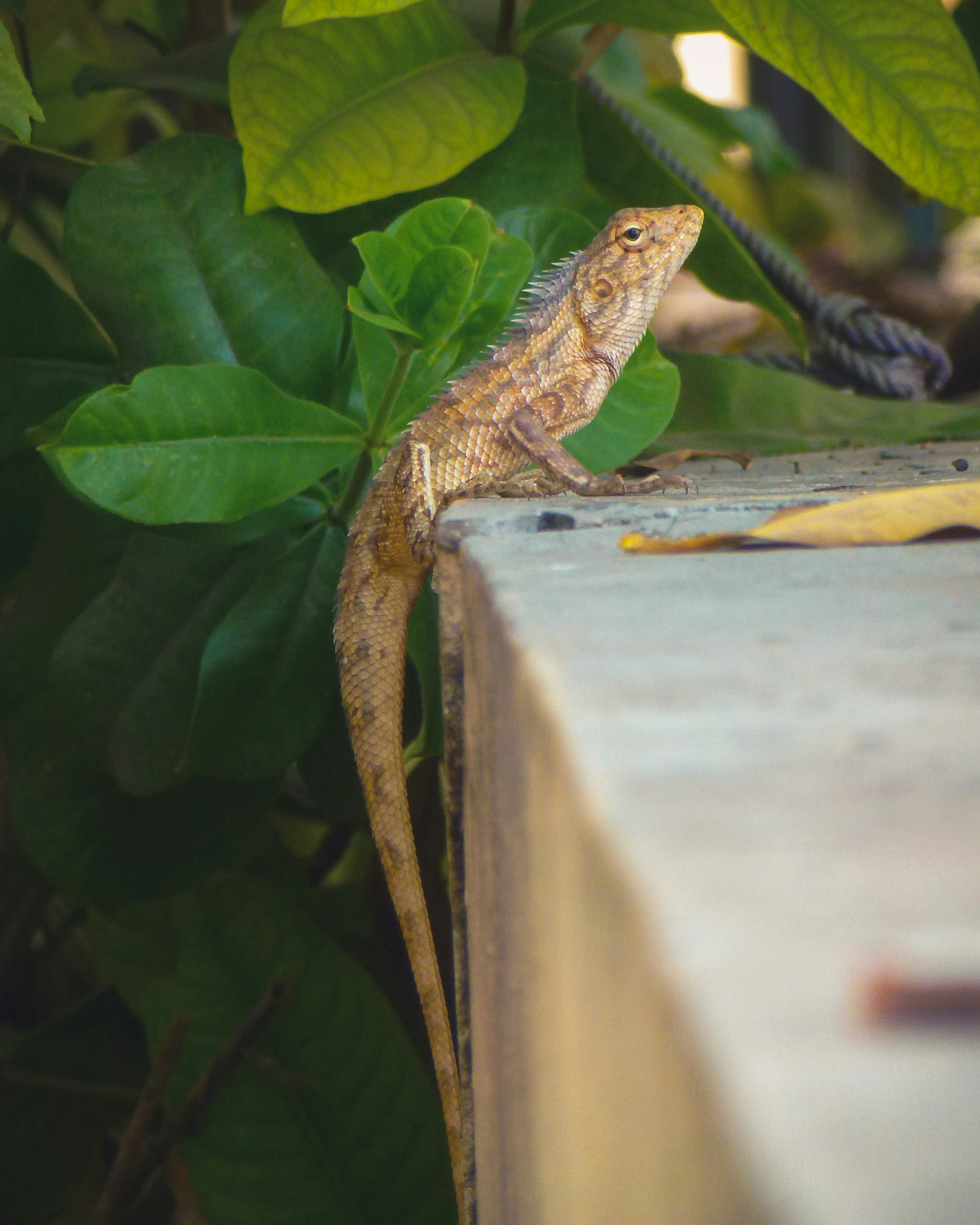 Photo by worldofsahaj