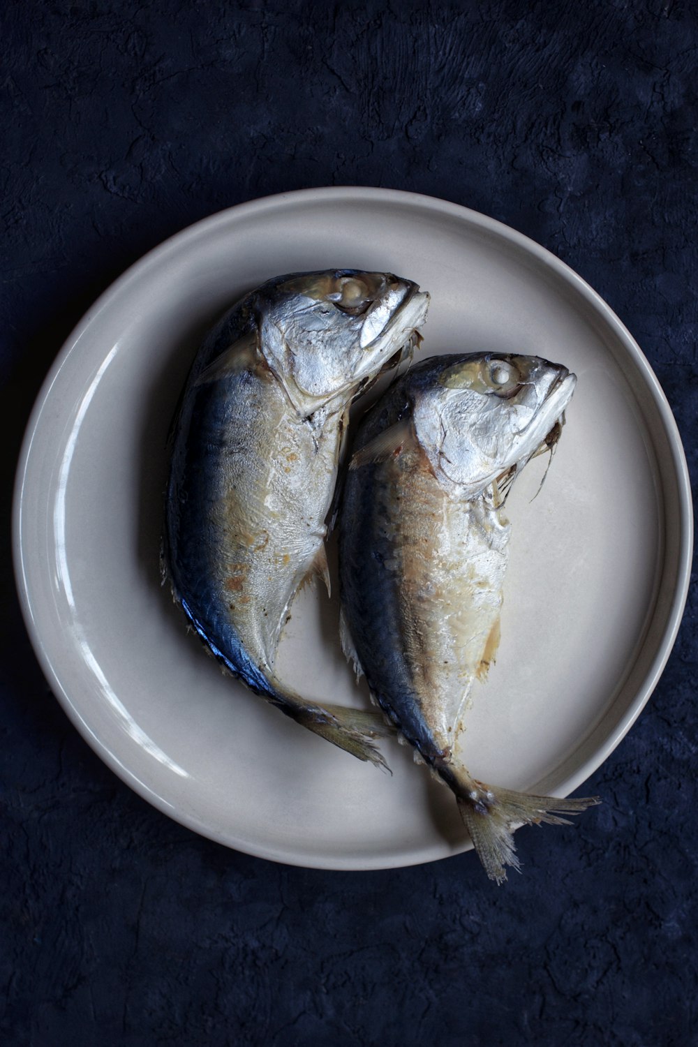 peces amarillos y grises en cuenco de cerámica blanca