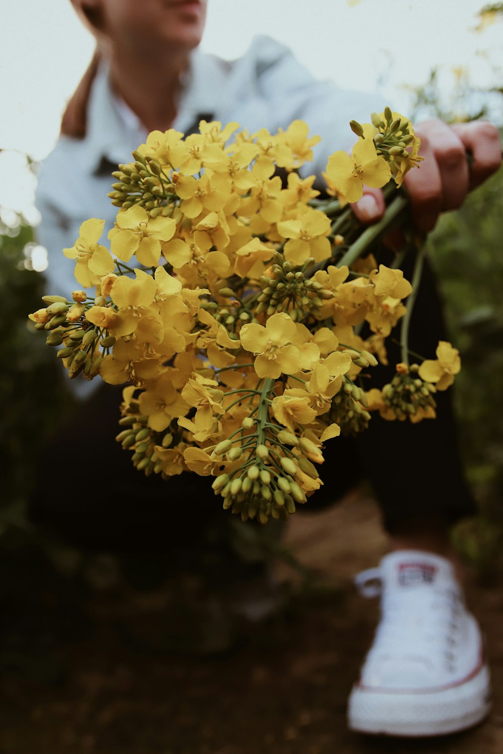 yellow flowers on persons hand