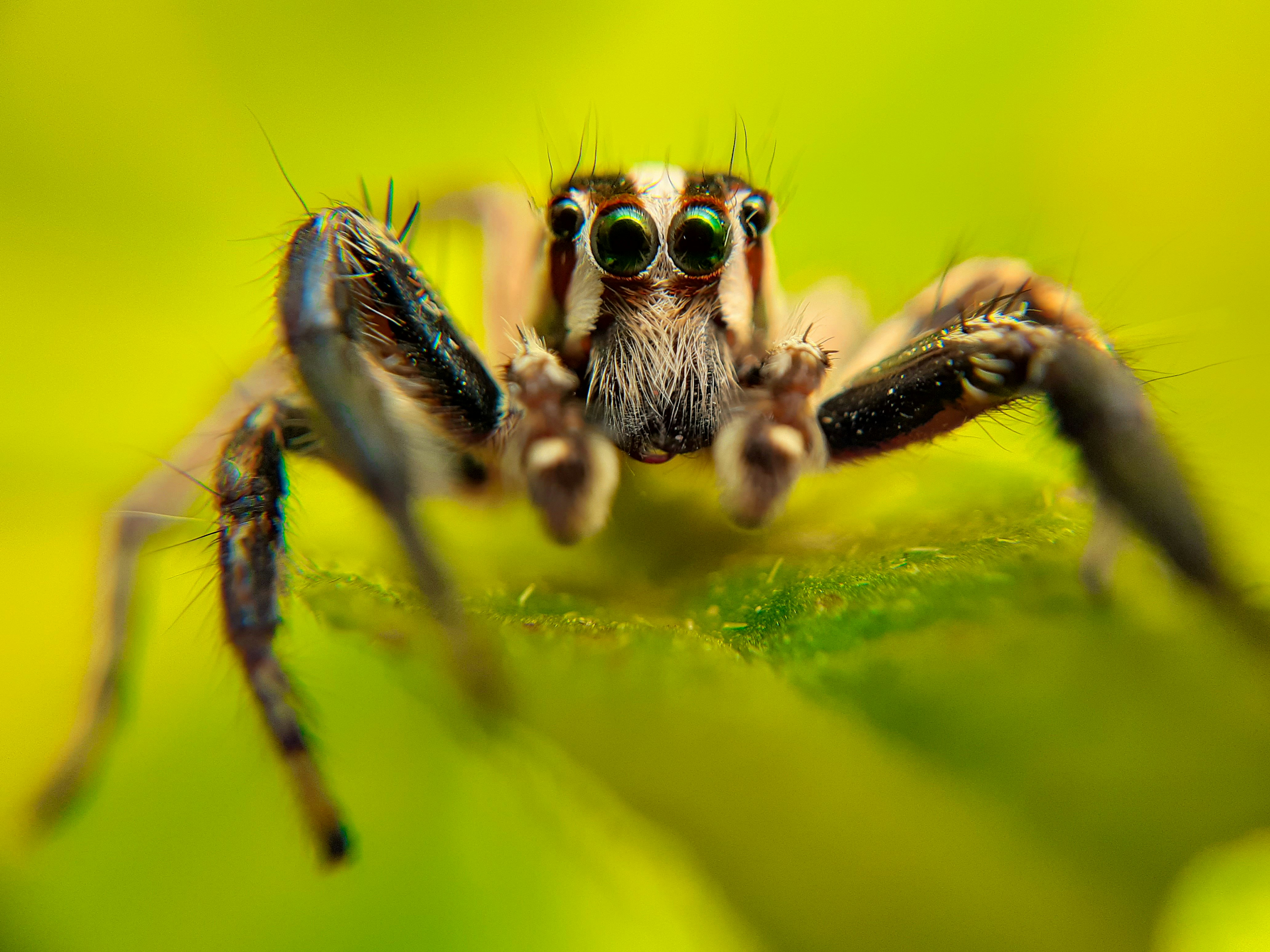 Safety Door Locks Explained