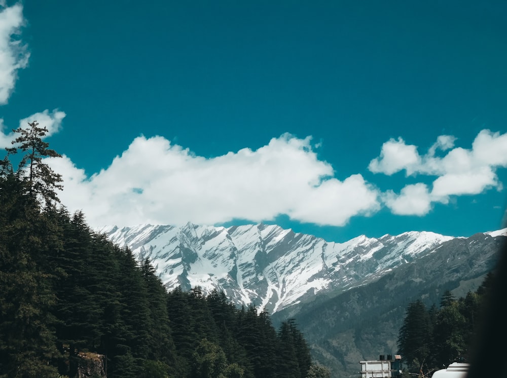 green trees near snow covered mountain under blue sky during daytime