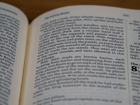 Open PDF document showing clear, inclusive educational materials