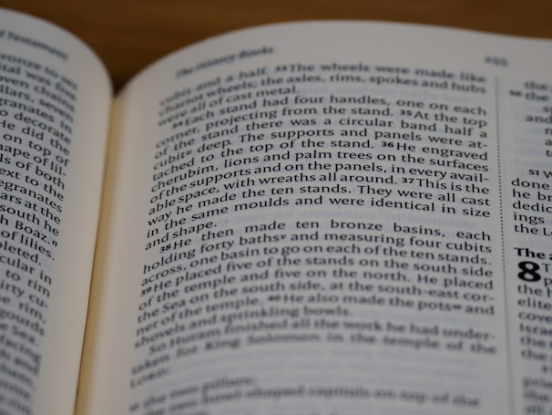 An open book showing a single, carefully typed page exploring a focused subject.