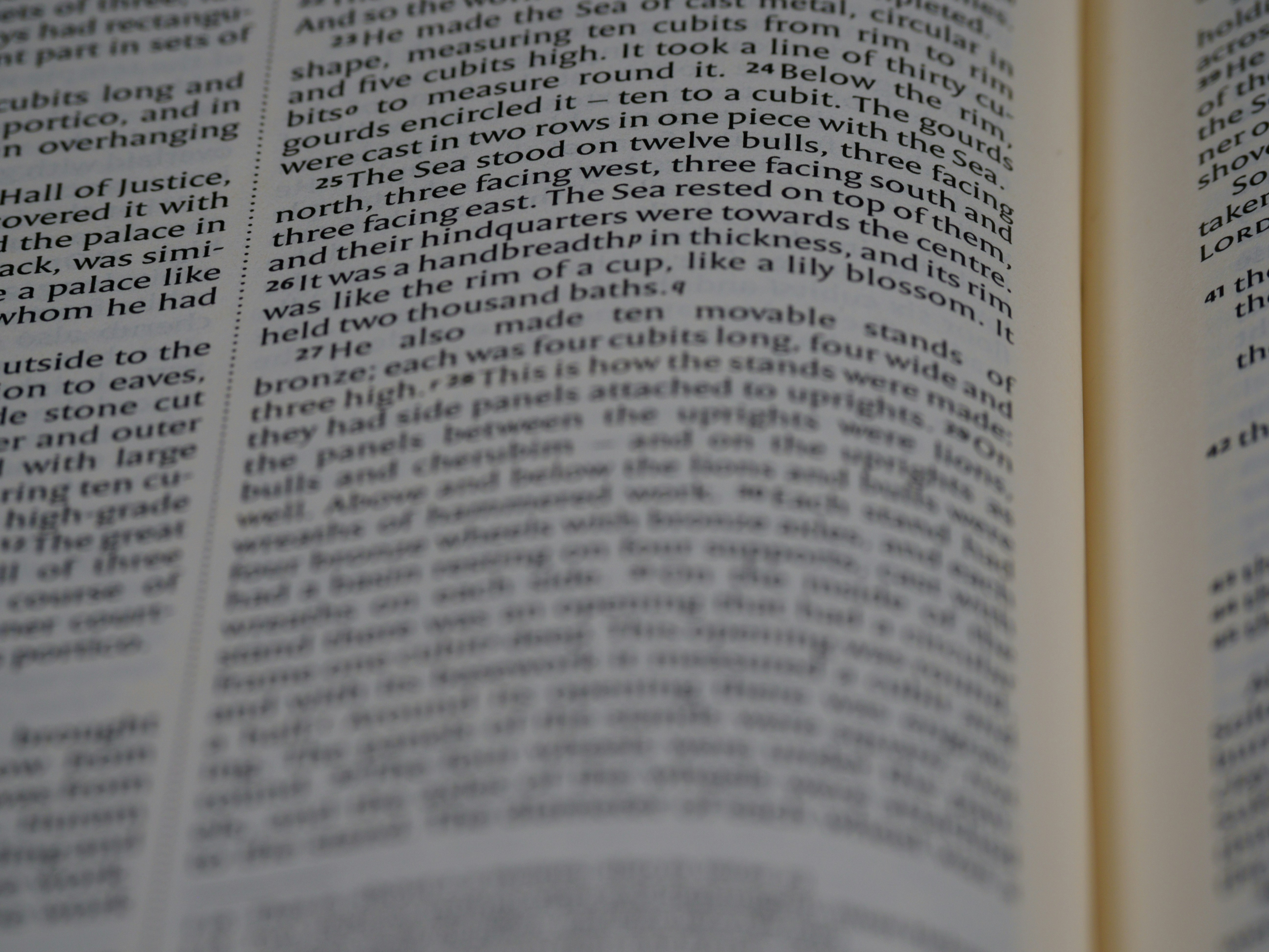 Photo by brett_jordan