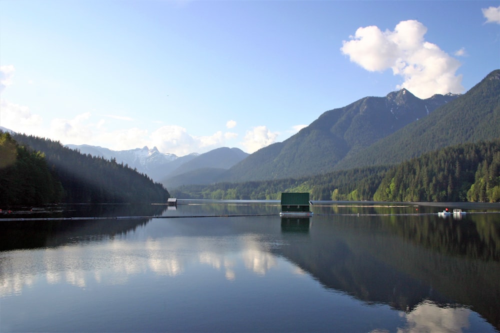 green trees near lake during daytime