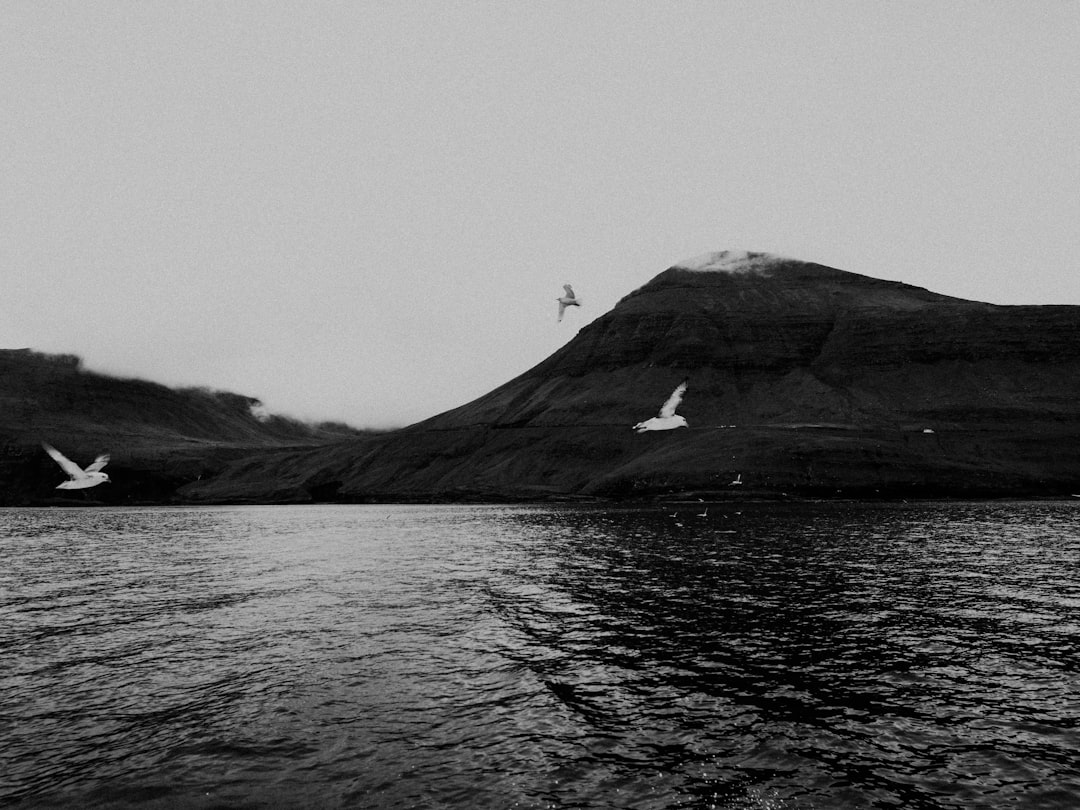 grayscale photo of mountain near body of water