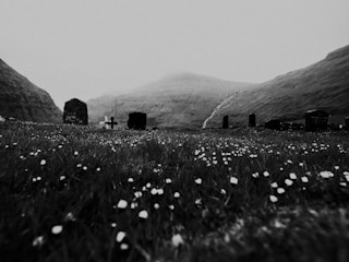 grayscale photo of grass field near mountain