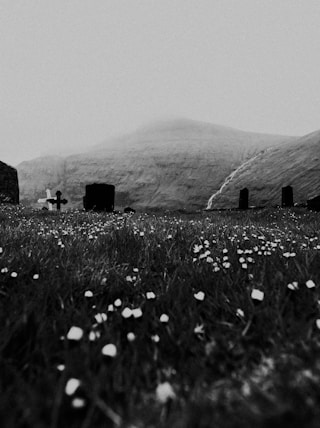 grayscale photo of grass field near mountain