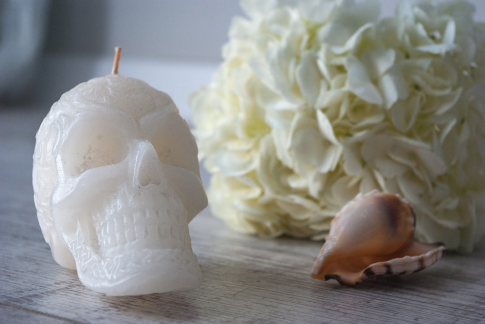 white flower on white table