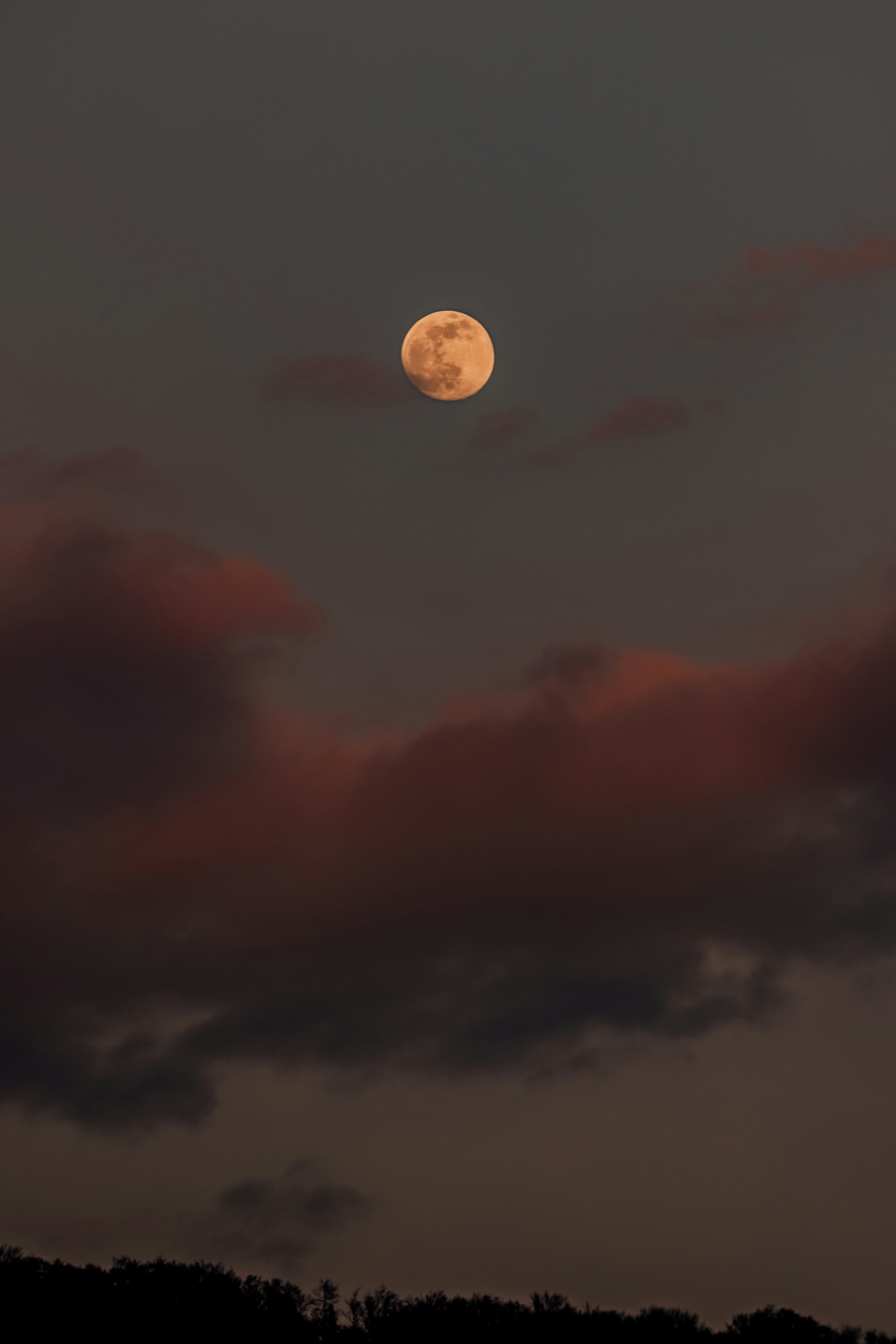 Photo by patresinger