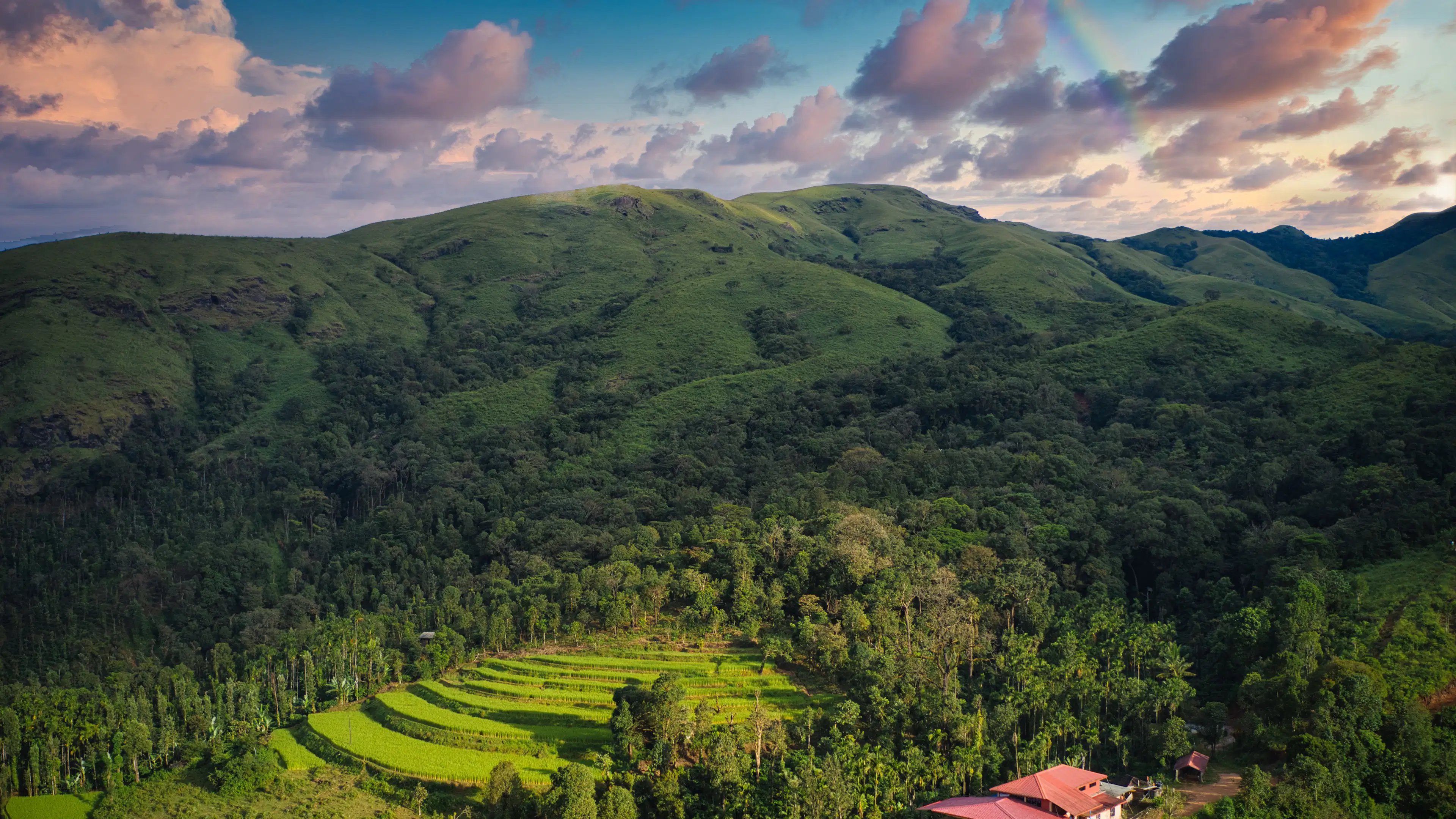 Dark green hills and terraced fields glowing at dusk in Chikkamagaluru