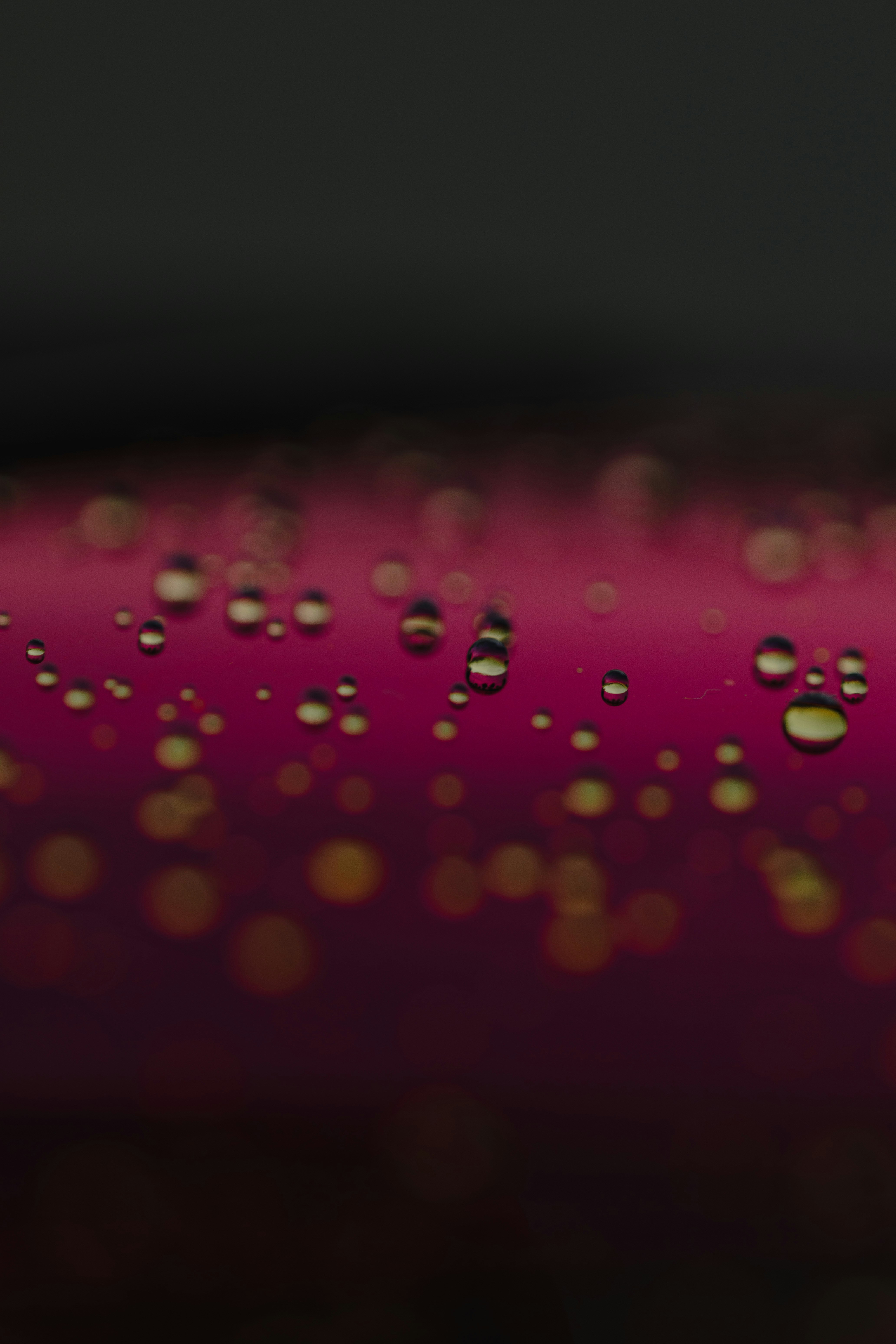 Photo by patresinger