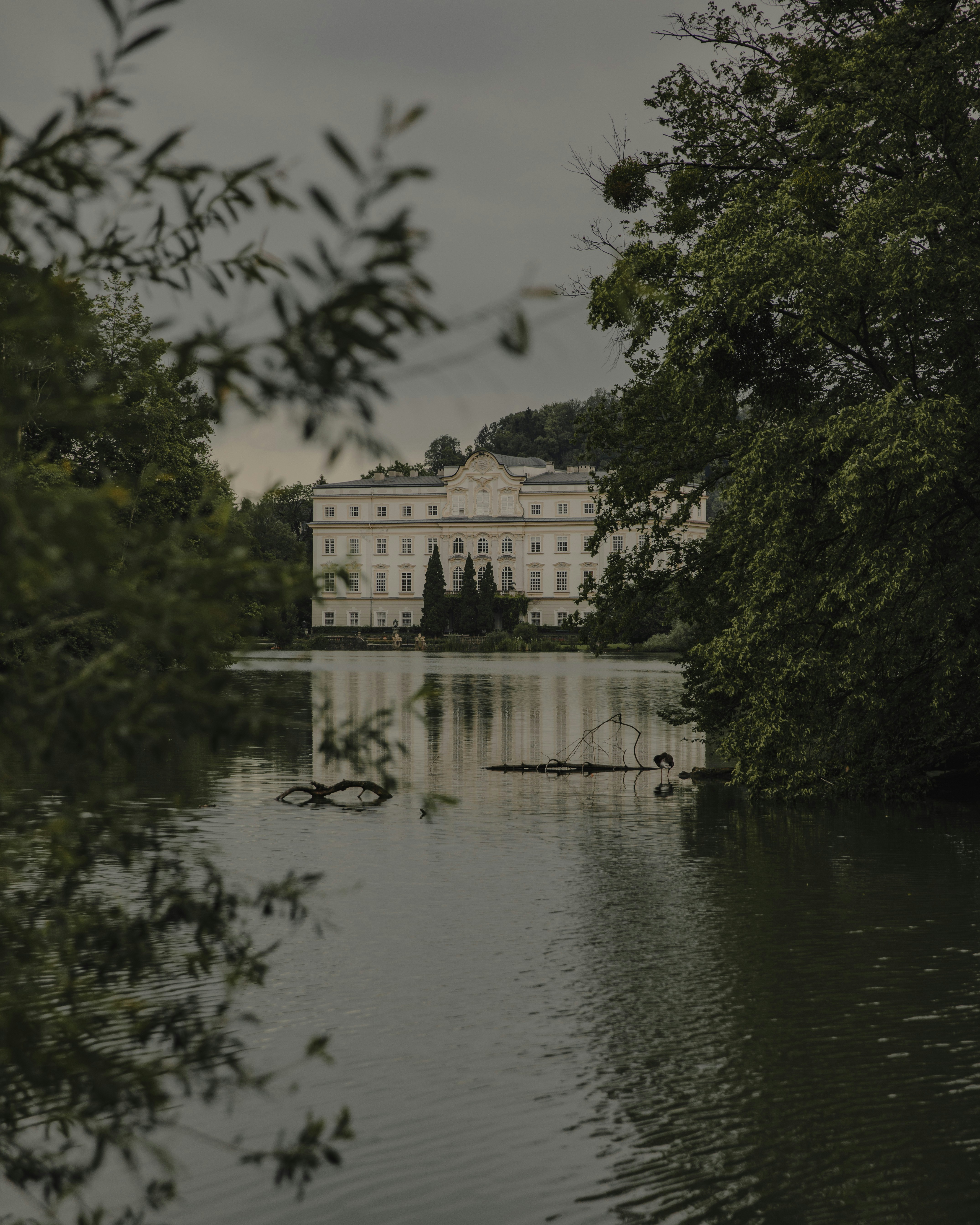 Photo by patresinger