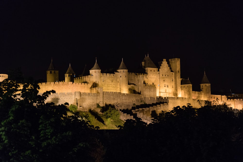 white concrete castle on top of green trees during night time