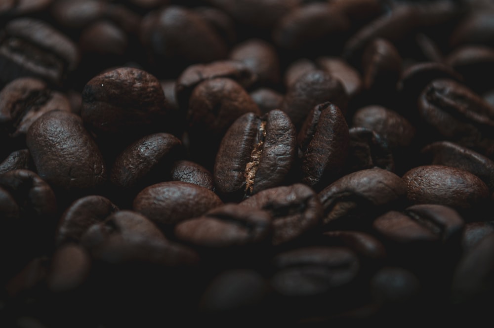 brown coffee beans in close up photography