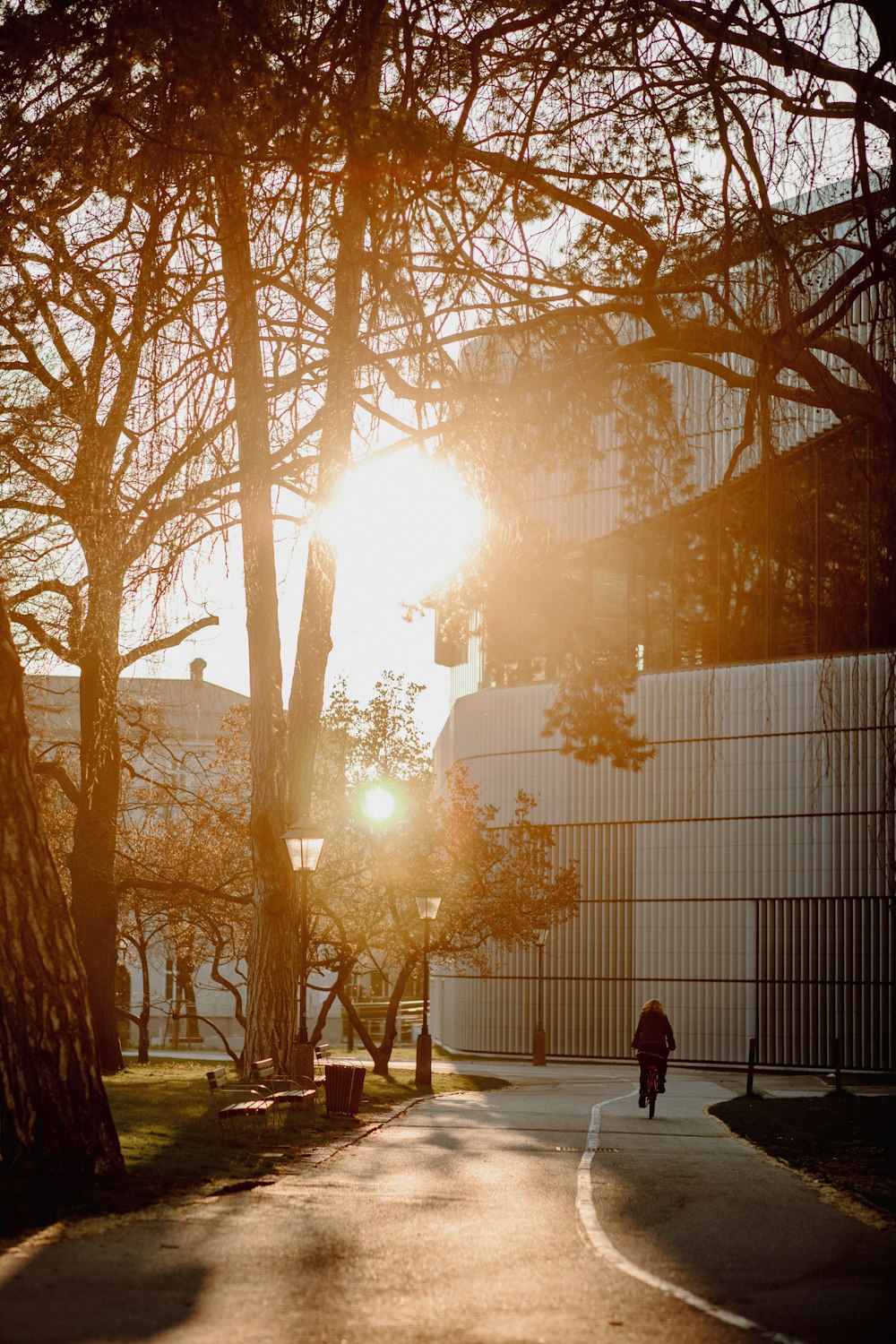 man in black jacket standing near brown trees during daytime