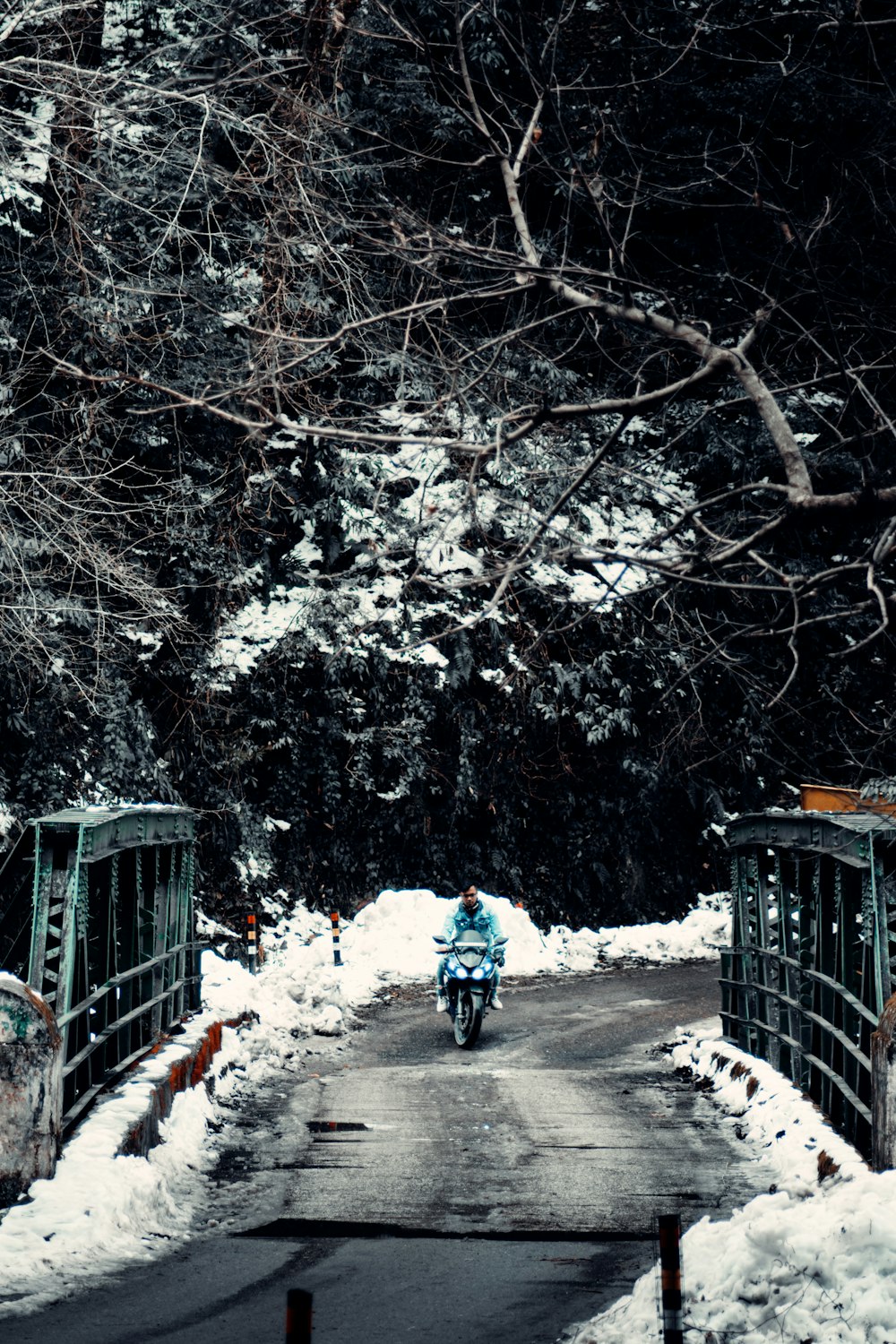 Persona in giacca nera che guida la bicicletta sulla strada coperta di neve durante il giorno