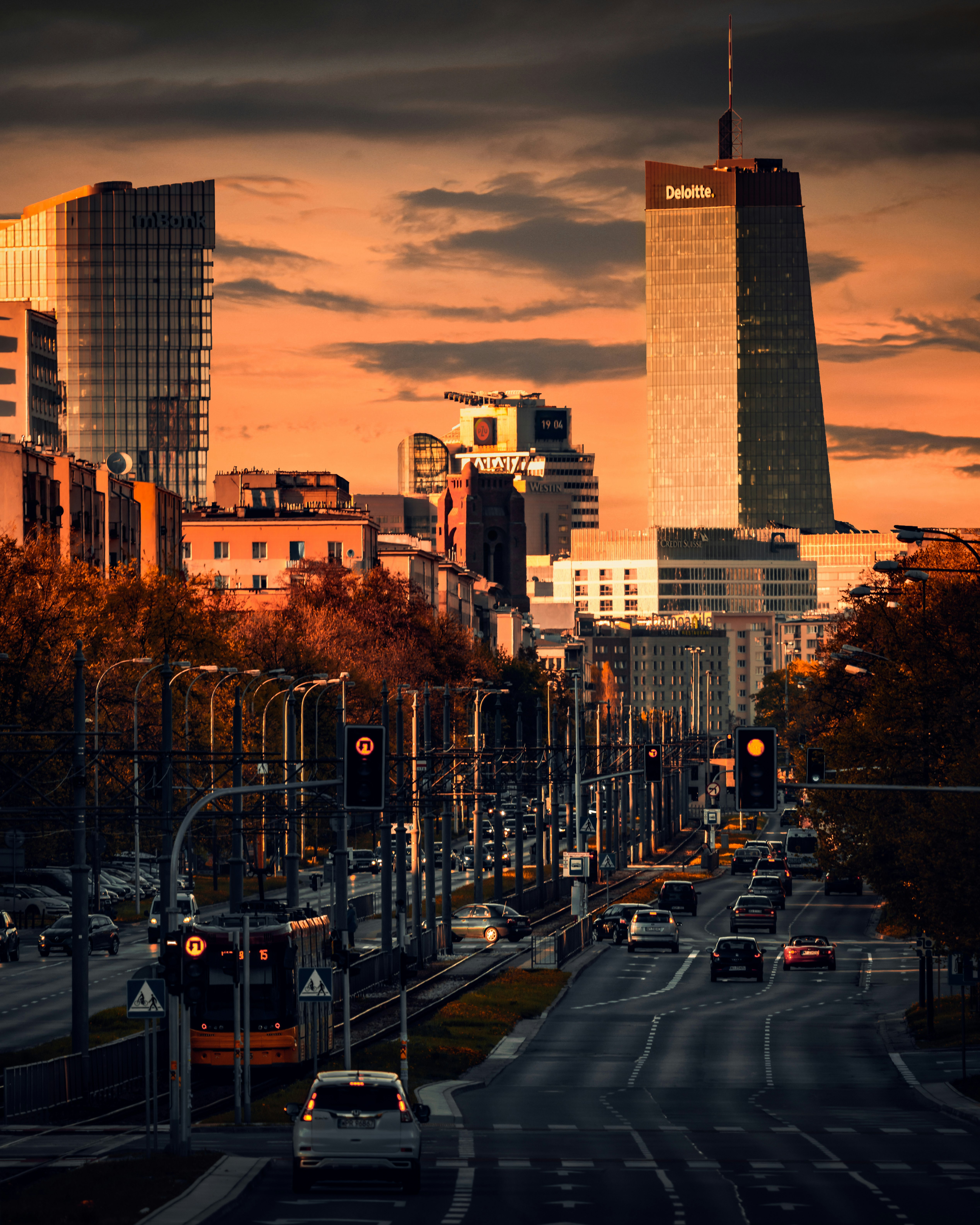 cars on road near high rise buildings during daytime