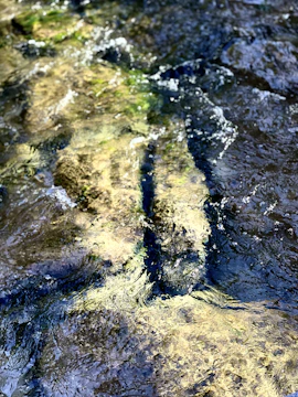 Close-up of a water quality sensor installed in a clear river stream.