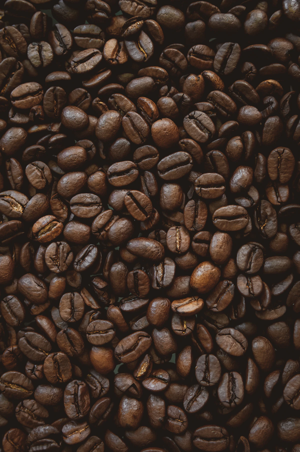 Whole roasted coffee beans, specialty grade