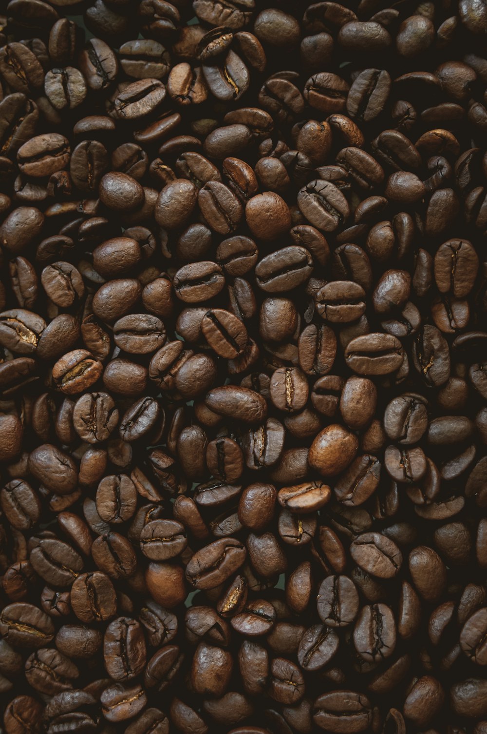 brown coffee beans on black surface