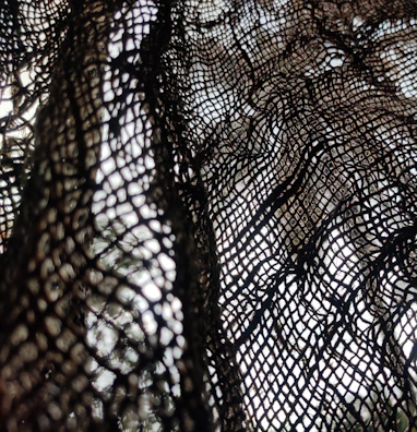 Fine cutwork design on lightweight mesh fabric, highlighting craftsmanship.