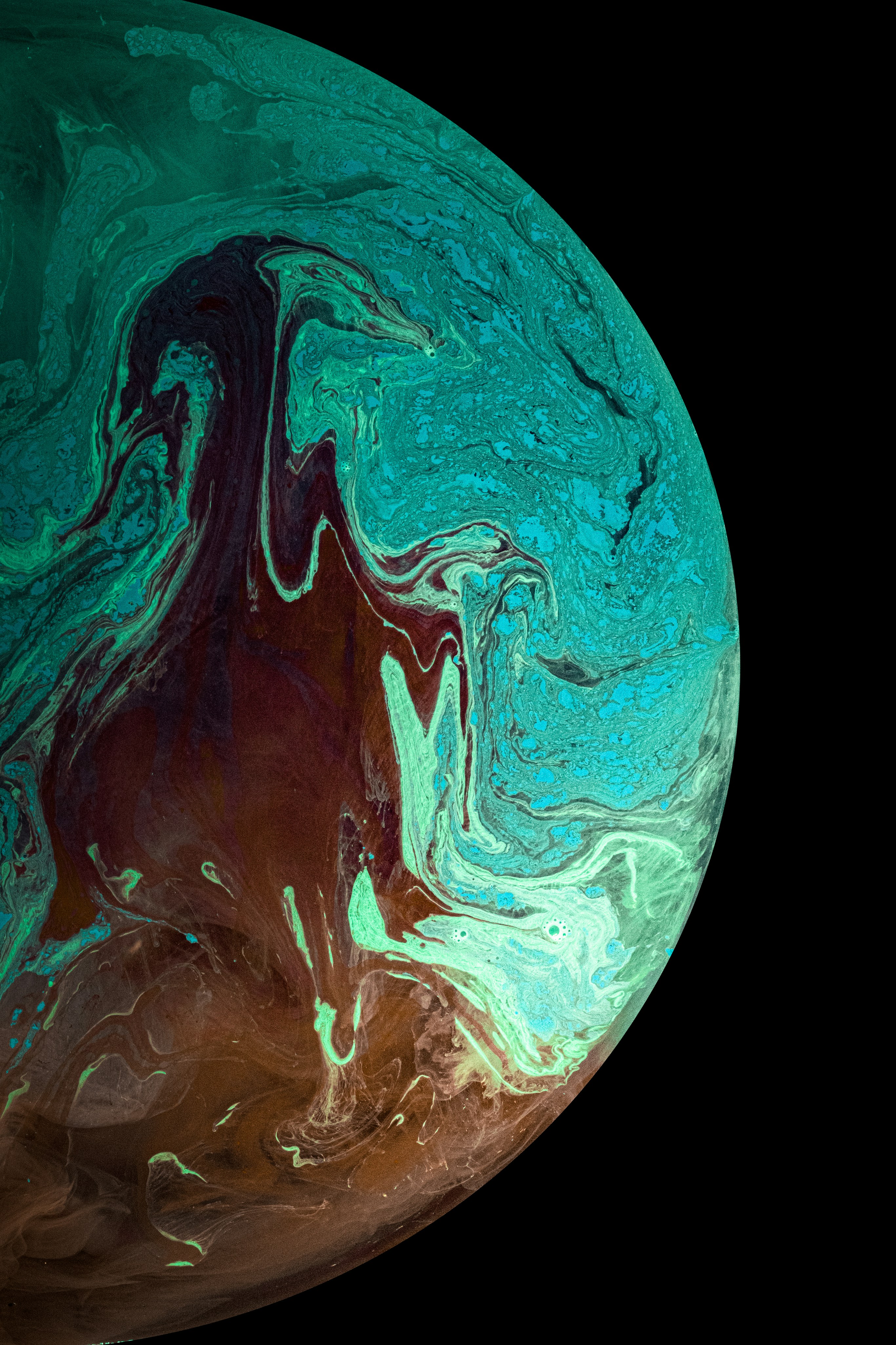 Photo by solenfeyissa