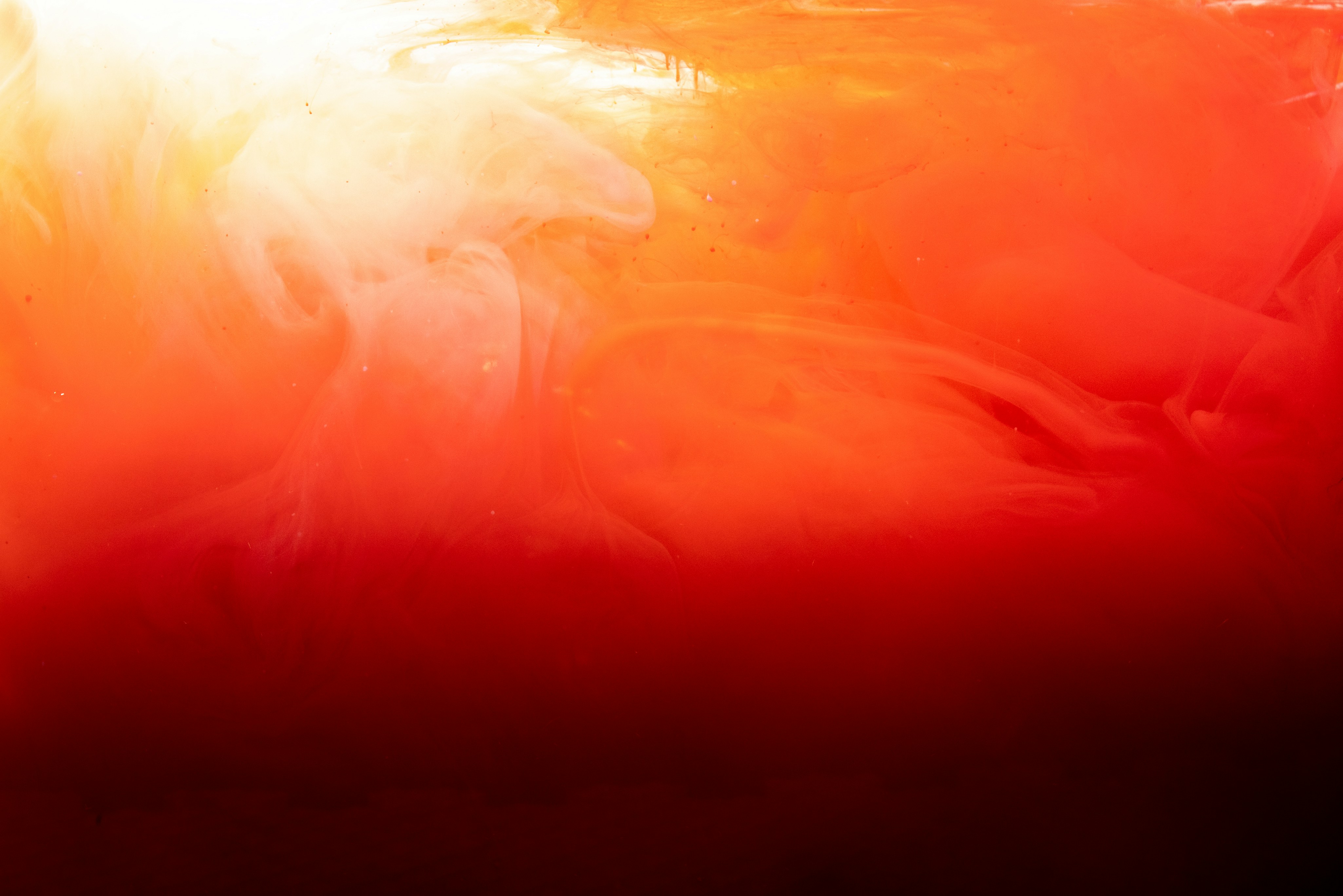 Photo by solenfeyissa