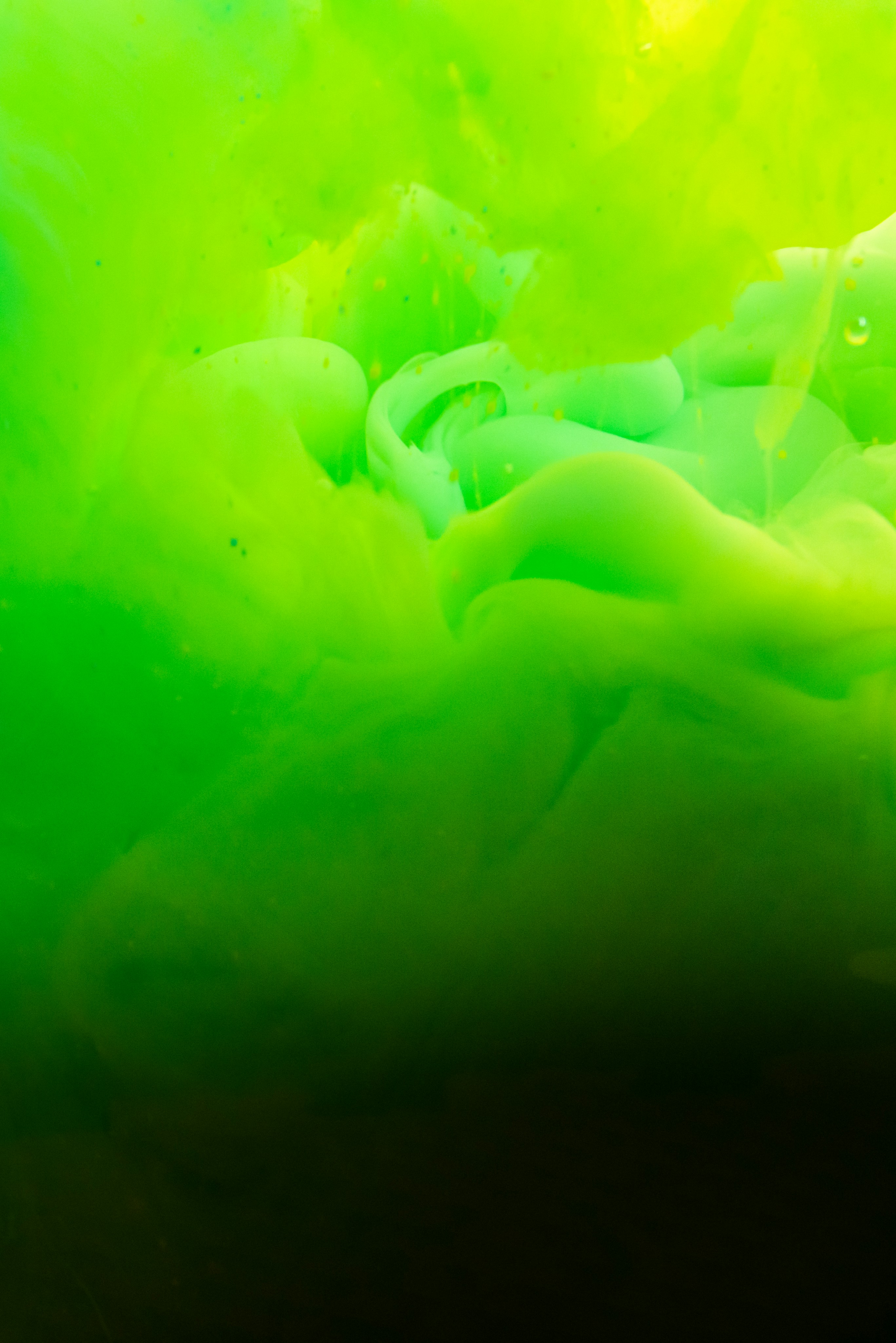 Learn About Automobile Maintenance in Quincy Mass To Produce The Proper Choices