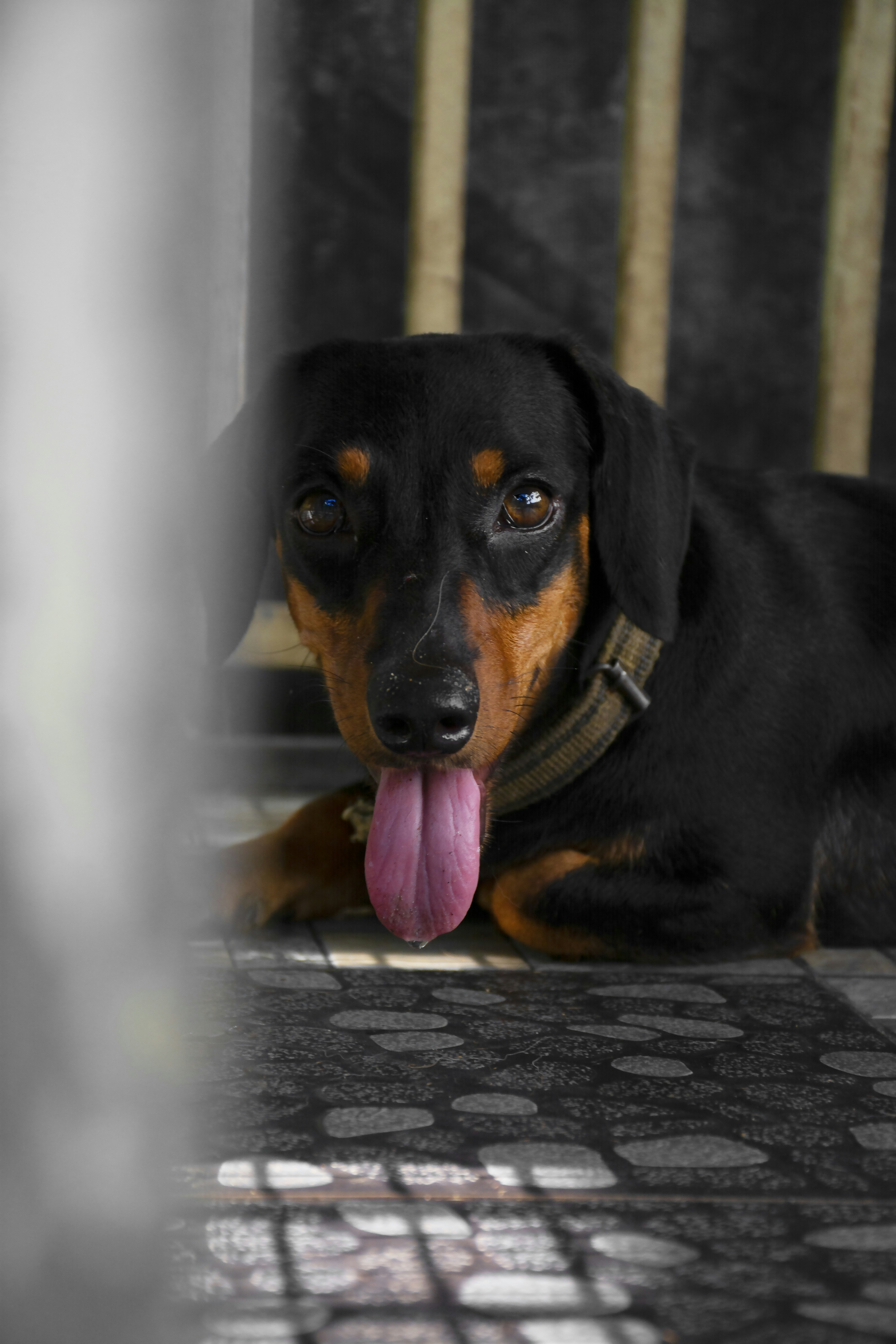 Photo by sebin_lalu_