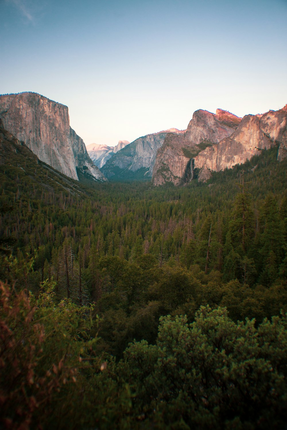 green trees near brown mountains during daytime