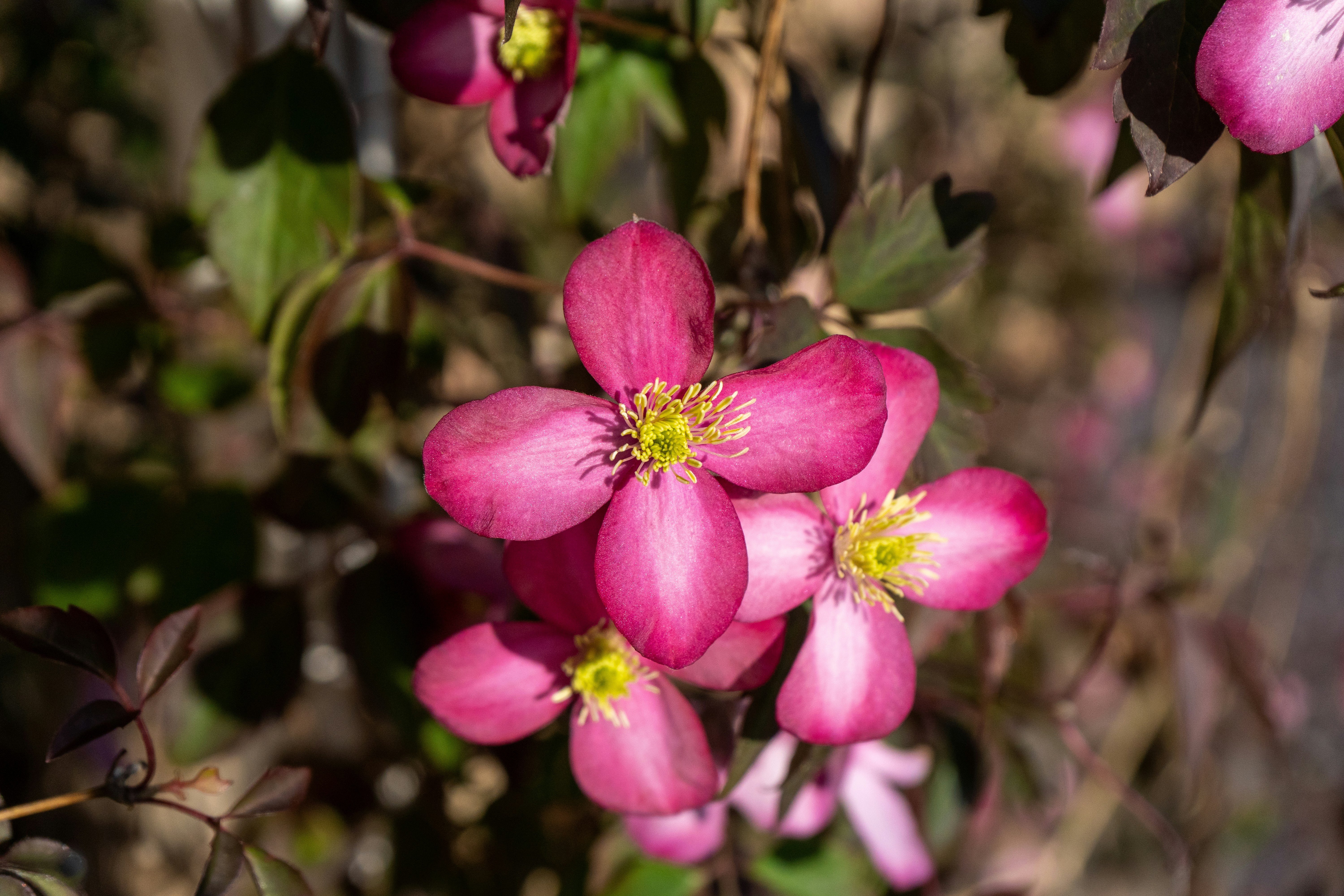 Photo by marksphotofeed