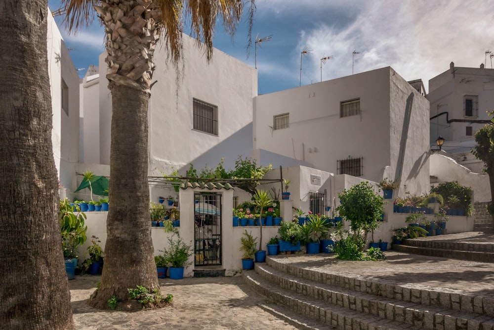 white concrete building near green trees during daytime