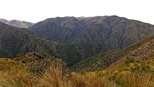 green grass on mountain during daytime