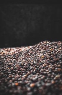 brown and white stones in close up photography