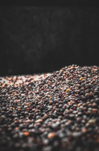 brown and white stones in close up photography