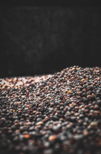 brown and white stones in close up photography